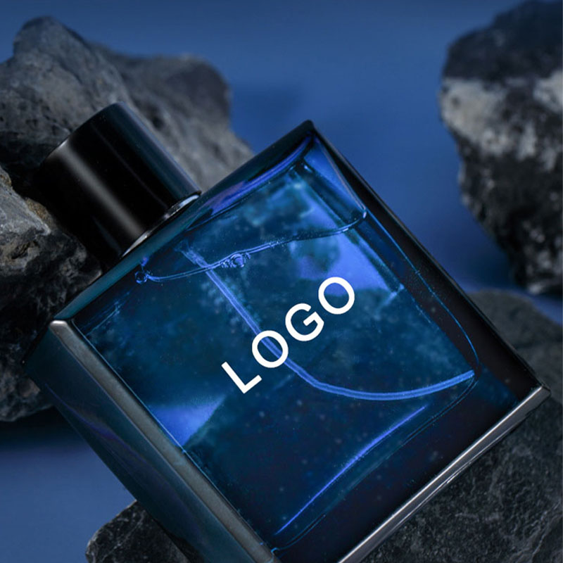 100ml Erkek Parfüm Profesyonel Üretici Erkek Parfüm